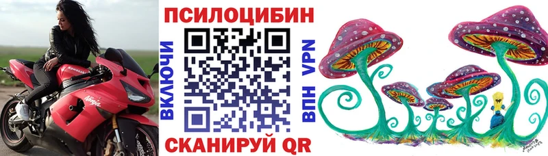 Псилоцибиновые грибы Psilocybine cubensis Купить закладки Тимашёвск